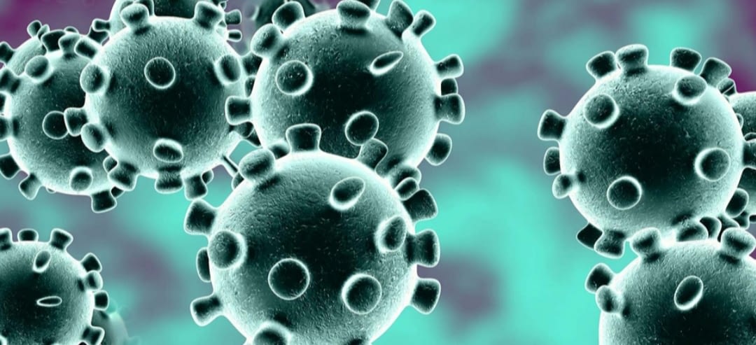 कोरोना संक्रमणबाट नेपालमा थप १० जनाको मृत्यु, १५७३ नयाँ संक्रमित थपिए