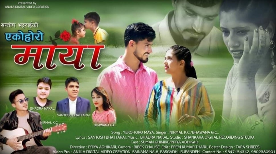 एकोहोरो माया गित बजारमा